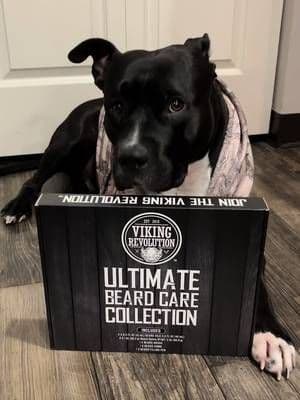 The ultimate beard care collection kit! #vikingrevolution #beardcare #beardcareroutine #holidayhaul #ad
