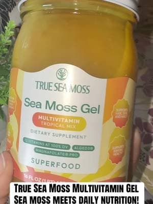 True Sea Moss Multivitamin Gel combines sea moss with added vitamins and minerals that may help support everyday nutritional needs as part of a balanced diet. 🥭✨ #TrueSeaMoss #SeaMossGel #Multivitamin #NutritionalSupport #TikTokShop