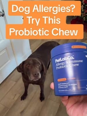 Seasonal allergies don’t just bother your dog, they stress their whole system. PetLab Co.’s Allergy & Immune Probiotic Chew: • Targets seasonal & occasional allergies • Supports digestion, immunity, and skin & coat health • Research-backed, triple-action formula One soft chew, multiple benefits. Perfect for small, medium, or large dogs. #DogAllergies #ProbioticForDogs #HealthyPup #petlabco #tiktokshopholidayhaul