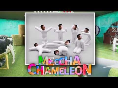 refunded MECCHA CHAMELEON :(
