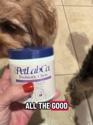 #AD #petlabco @PetLab Co. 📦Just trying to keep my pup healthy- and these probiotic chews made it so easy 💙Supports gut health, immune system, and those little signs like paw licking + head shaking. They’re tasty, vet-reviewed, and part of our daily routine now. #dogparents #probioticsfordogs #dogs