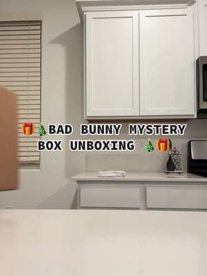 BAD BUNNY $150 MYSTERY BOX UNBOXING #badbunny #addidas #parti #fyp #mysterybox #pr #mostwantedtour