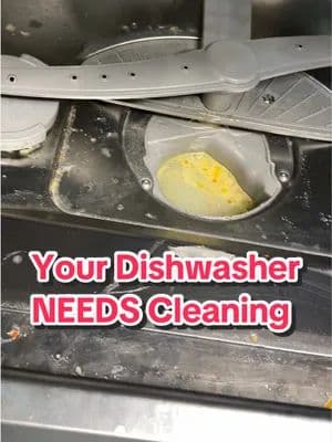 I thought my dishwasher was clean because it cleaned my dishes… until I saw what was hiding inside and the filter water!