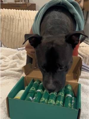 Won’t be needing to purchase poop bags anytime soon!!! #earthrated #poopbags #ad #dogtok #tiktokblackfriday