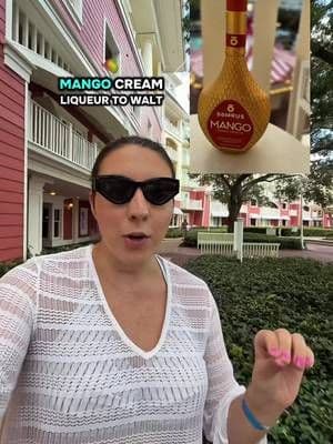 When you’re staying at a Disney resort you can bring your own booze for the hotel! Being able to grab a tasty non-alcoho