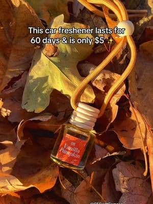 All the cozy fall vibes with this Vanilla Pumpkin scented car freshener ✨ Lasts for 60 days and on sale right now?! @CE Craft Company #carfreshener #carfreshies #trending #tiktokshop