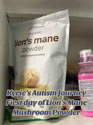 #lionsmanemushroom #lionsmane #autismparents #autismcommunity #blackautismmom #autismtiktok #autismom #ilovesomeonewitha