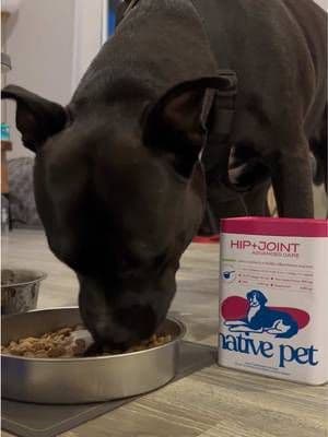Native pet is a must in this household! #nativepet #dogsupplements #hipandjointsupplement #ad #doghealth