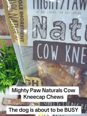 Mighty Paw Cow Kneecap Chews are meaty dog treats made for pups who love having something satisfying to chew on. Eight chews come in the pack. 🦴 #MightyPaw #DogChews #DogTreats #PetFinds #TikTokShop