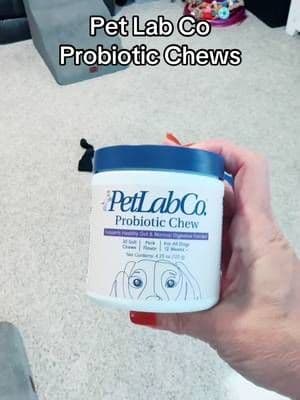 #AD #petlabco @PetLab Co. My girls LOVE these PatLab Co probiotic chews! #dogprobiotic #dog #cavapoo