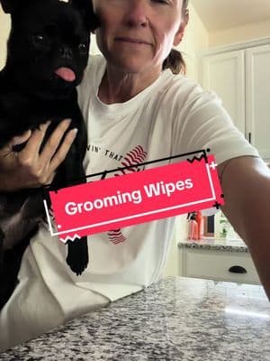 Check out @earthrated for all of your dog needs! These 3 in 1 wipes are so helpful! #tiktokshopstockup #dogmomlife #dogparentessentials #earthrateddogmom #pug