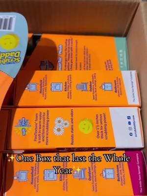 One box last you the whole year so get to cleaning 🧼 #scrubdaddy #cleantok #cleaning #clean #cleaningtiktok #cleanwithme #tiktokshop #toktokmademebuyit