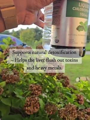 It also helps with gut health #chlorophyll #fyp #supplements #dietarysupplement #tiktokshop