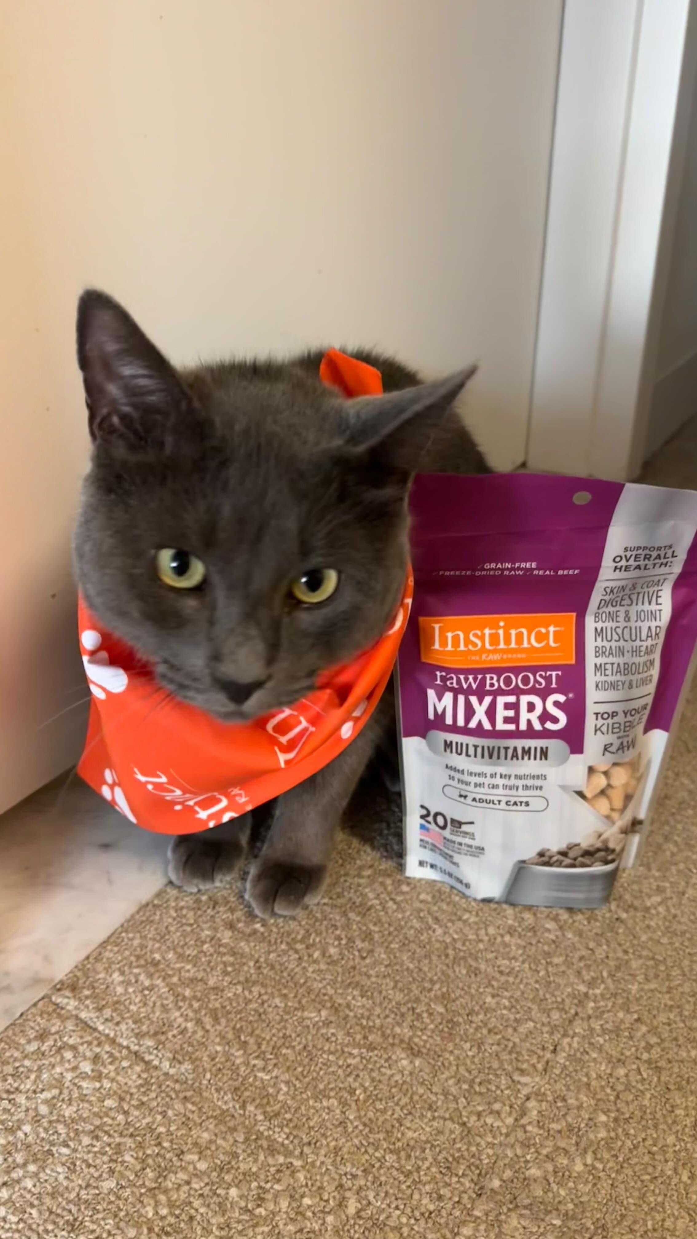 #sponsored Let’s give @smokey_bandit_meyers a FUR-esh, high-quality meal! They were gifted the @instinctpetfood Raw Boos