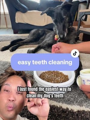 keeping up with DAILY teeth cleaning for Jamie thanks to ProBright 🙌 click the link in bio and use BRIGHT for $5 off f
