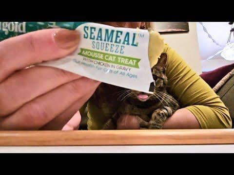Solid Gold Chicken SeaMeal Squeeze Cat Treats: A Treat for Indoor Cats