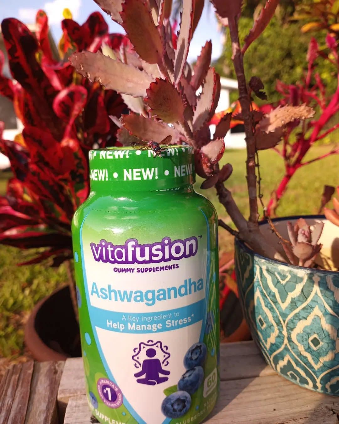 Help manage stress with Vitafusion Ashwagabdha gummy vitamins. #viafusion #ashwagandha #ashwagandhabenefits #livinghealt