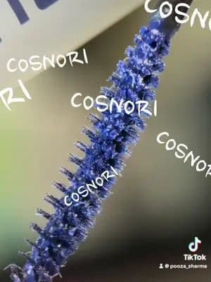 In terms of of waterproof Mascara, you ate here COSNORI🩵 @cosnori_global @코스노리 #fyp #mascara #colourfulmascara #colormascara #beauty #viral #beauty #pr #collab #cosnori #skintok #grr #treandingvideo