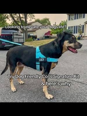 Leash up, level up πΎβ¨ Loving our new bundle leash from @dogfriendlyco β strong, stylish, and pup-approved. #Sponsored #